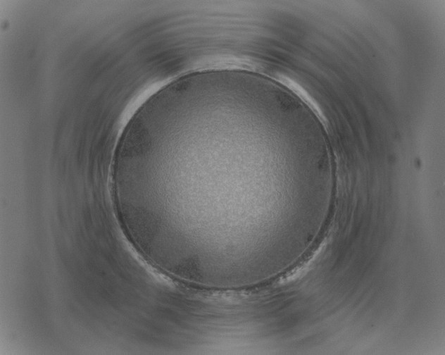 X0000074260901200609081733