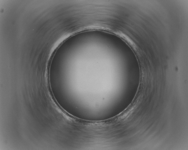 X0000074260902200609081733