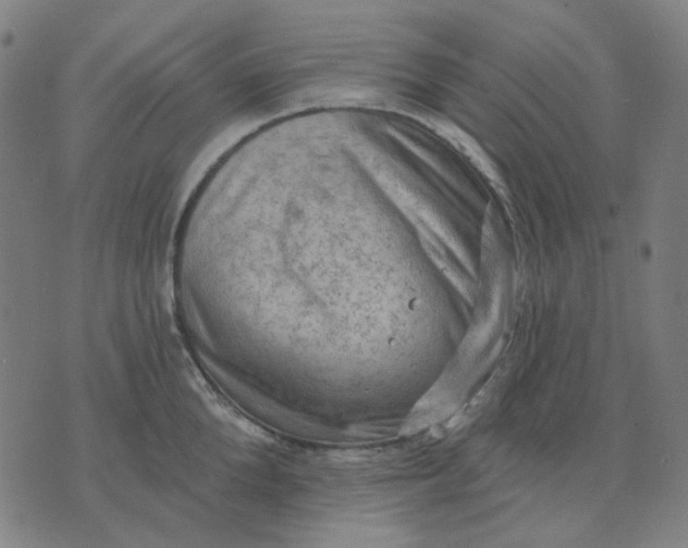 X0000074260904200609081733