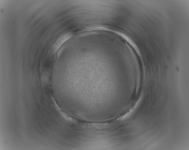 X0000074260905200609081733