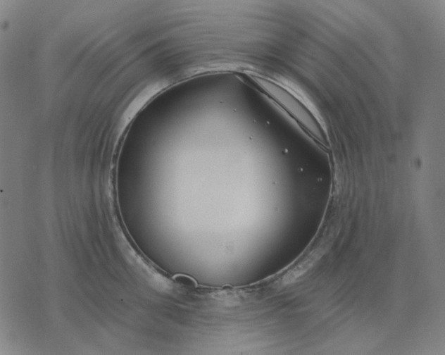 X0000074260906200609081733