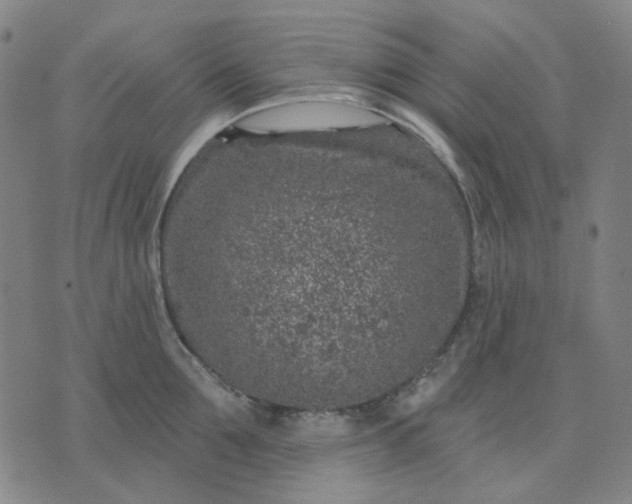 X0000074260907200609081733