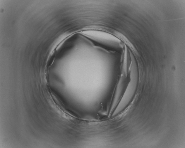 X0000074260908200609081733