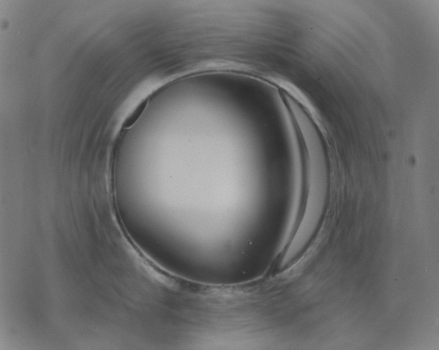 X0000074260910200609081733