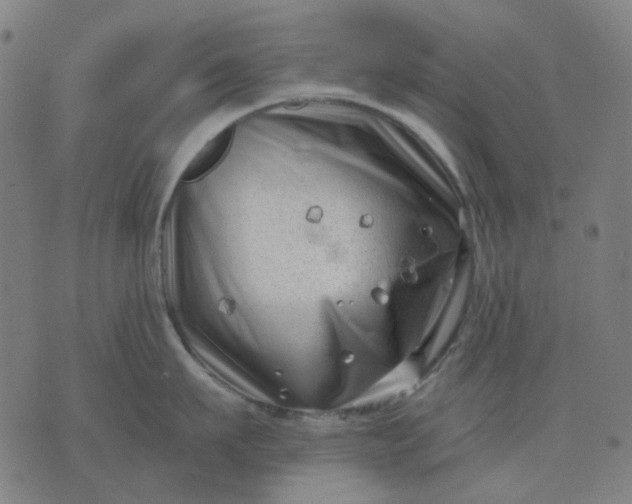 X0000074260911200609081733