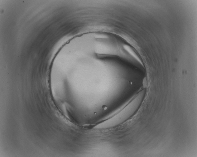 X0000074260912200609081733