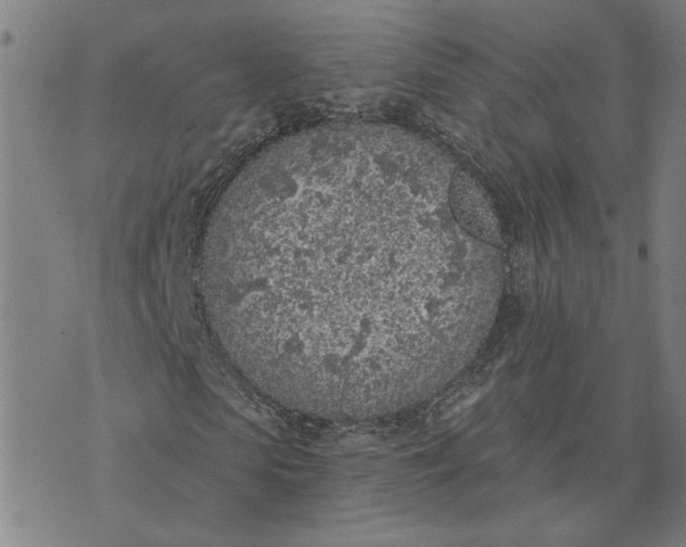 X0000074260913200609081732