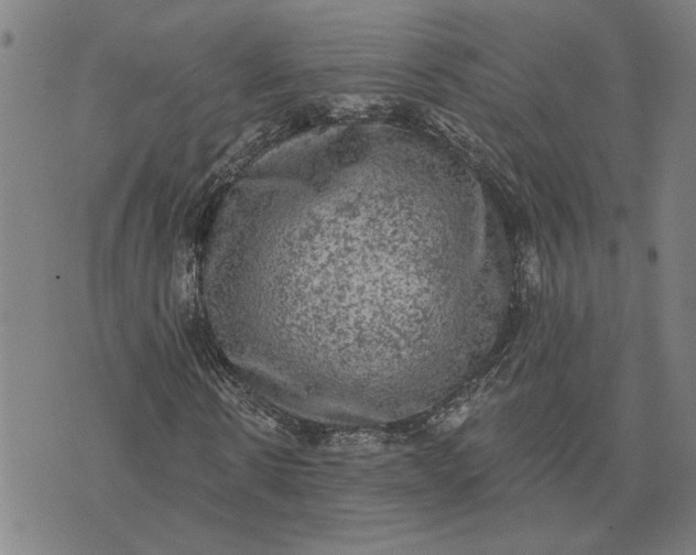 X0000074260914200609081732