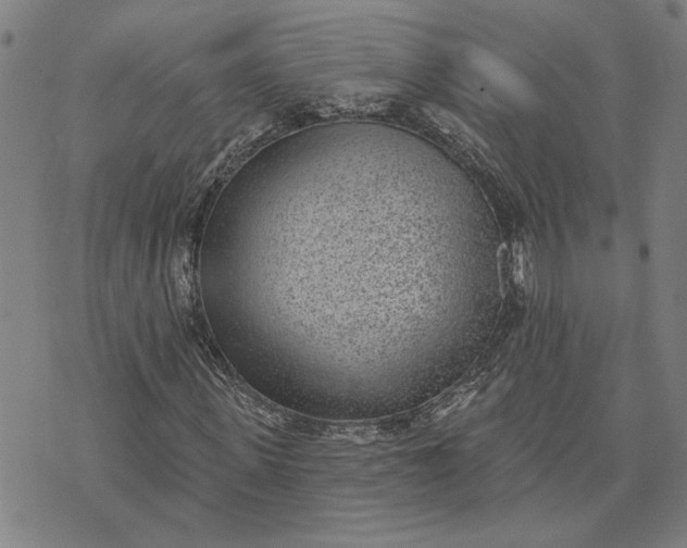 X0000074260915200609081732