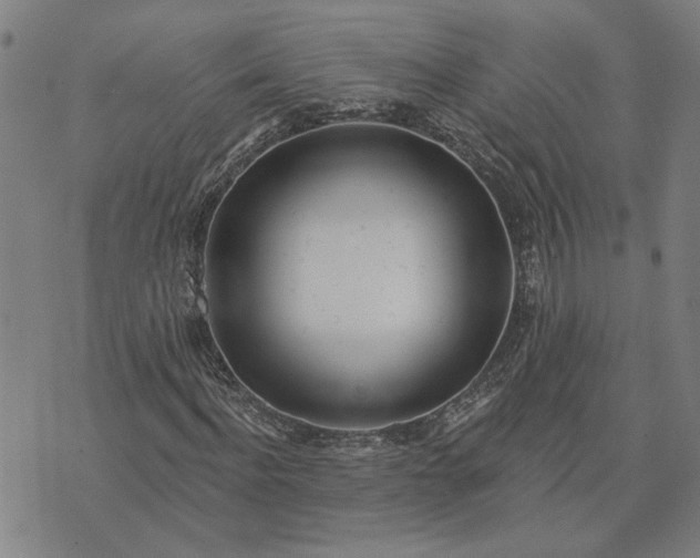 X0000074260916200609081732