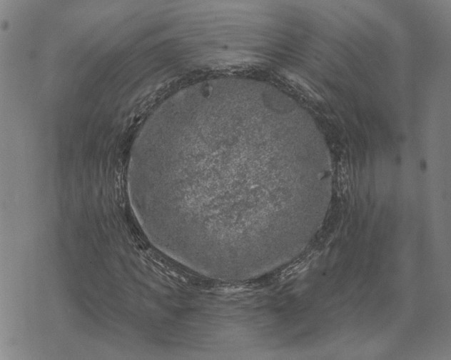 X0000074260917200609081732