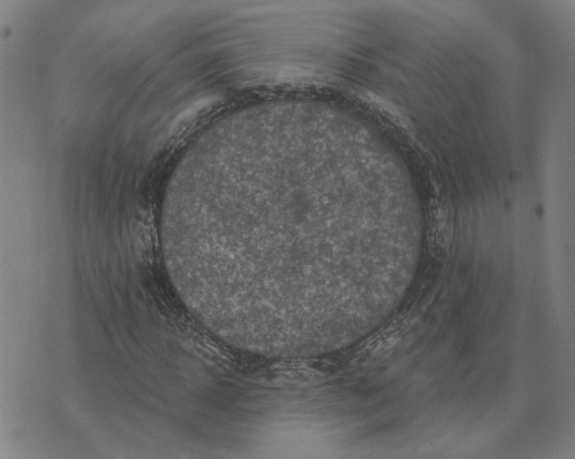 X0000074260918200609081732