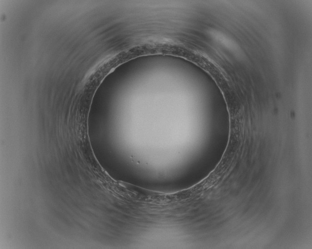 X0000074260919200609081732