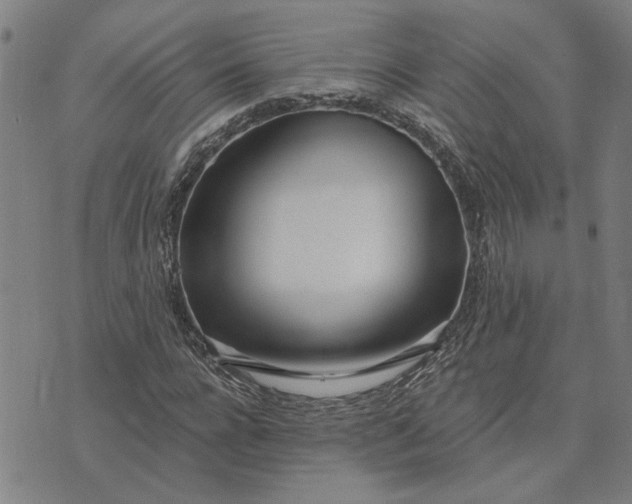 X0000074260920200609081732