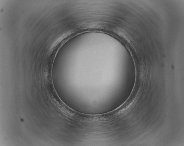 X0000074260922200609081732