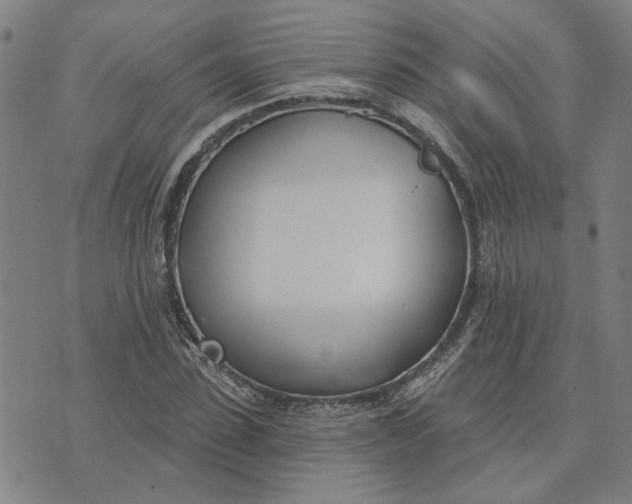 X0000074260923200609081732