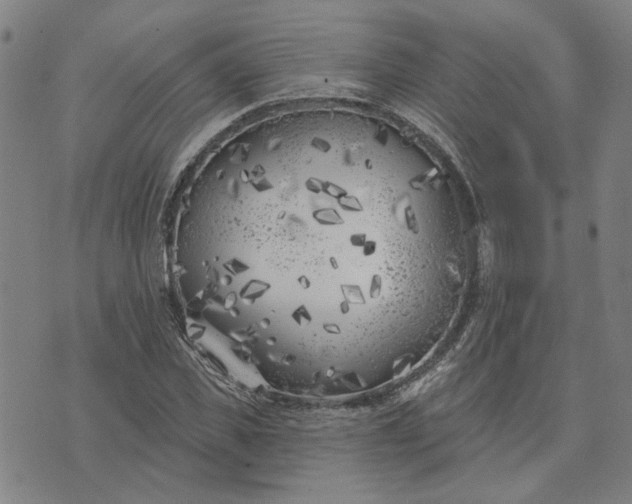 X0000074260925200609081732