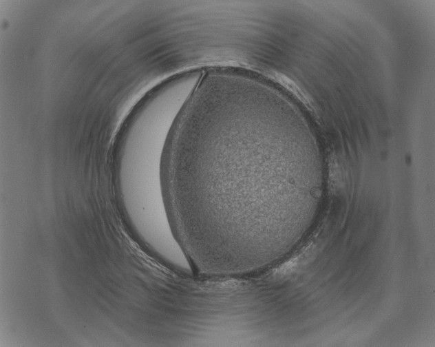 X0000074260926200609081732