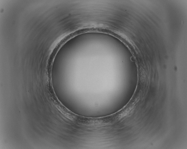 X0000074260927200609081732