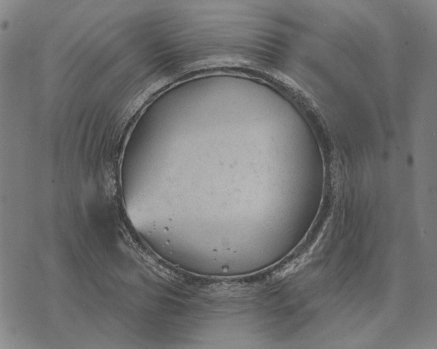 X0000074260929200609081732