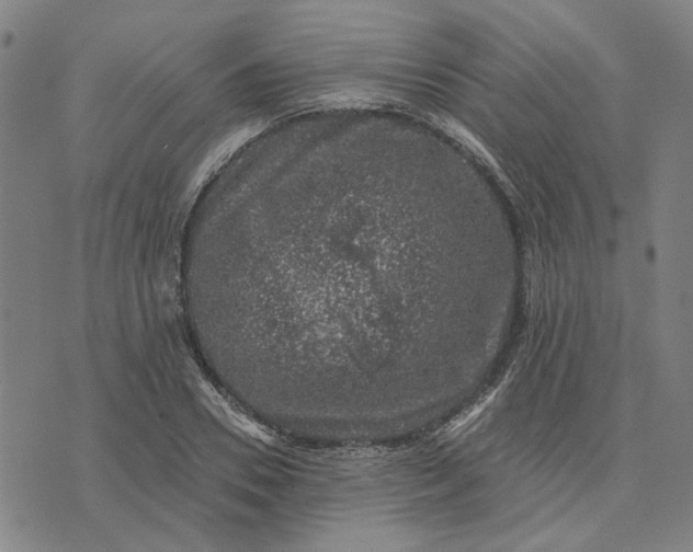 X0000074260930200609081732