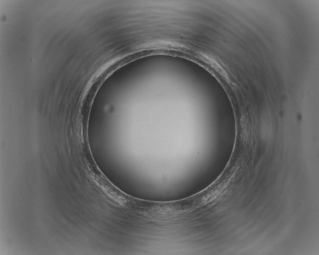 X0000074260931200609081732