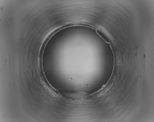 X0000074260932200609081732