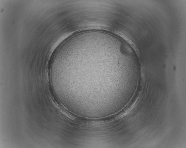 X0000074260933200609081732