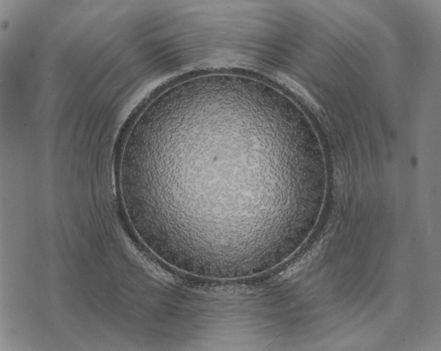 X0000074260934200609081733