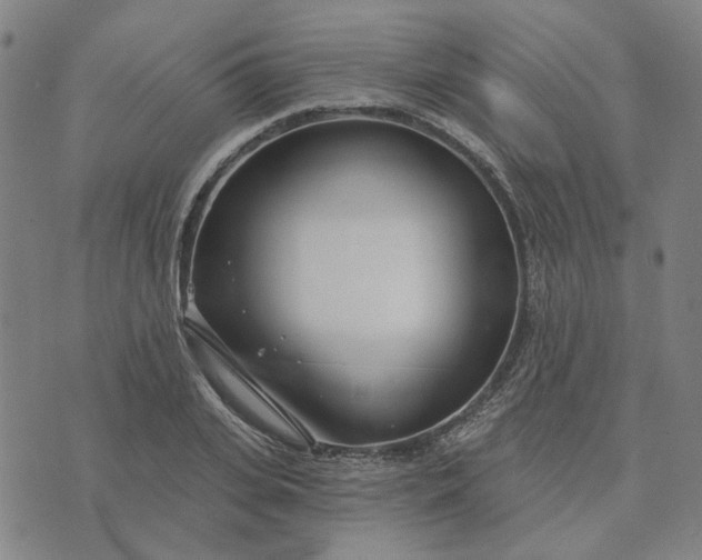 X0000074260935200609081733