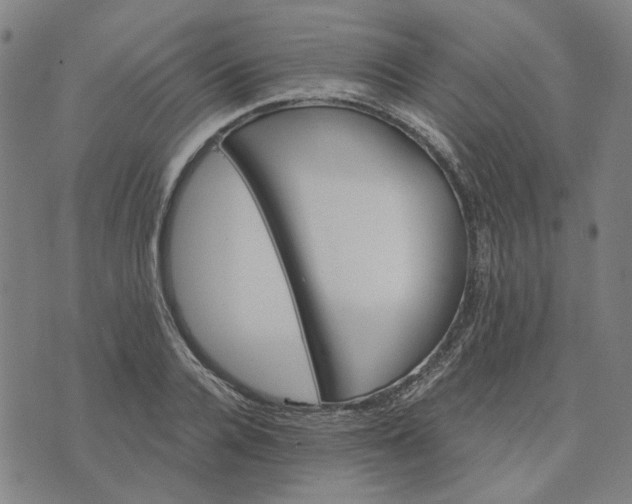 X0000074260936200609081733