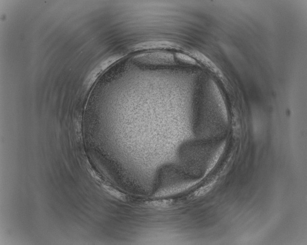 X0000074260937200609081733