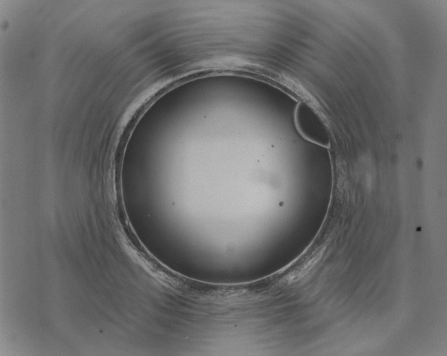 X0000074260939200609081733