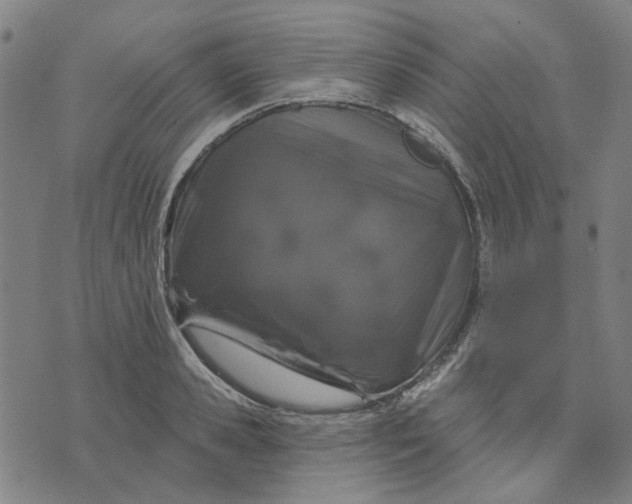 X0000074260941200609081733