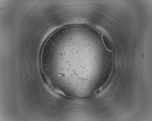 X0000074260942200609081733