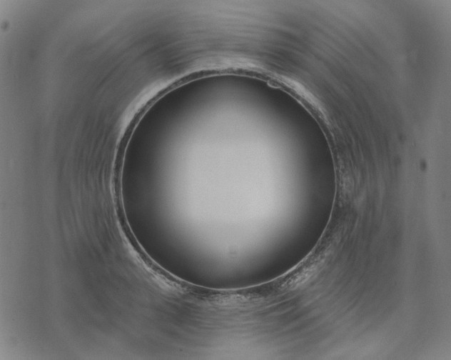 X0000074260943200609081733