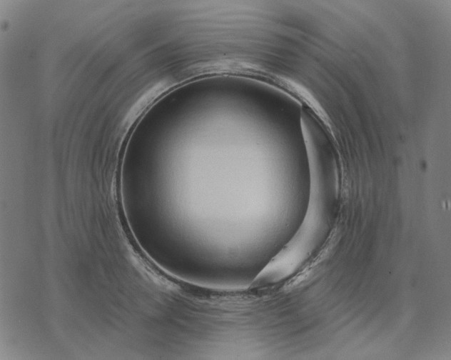 X0000074260946200609081733