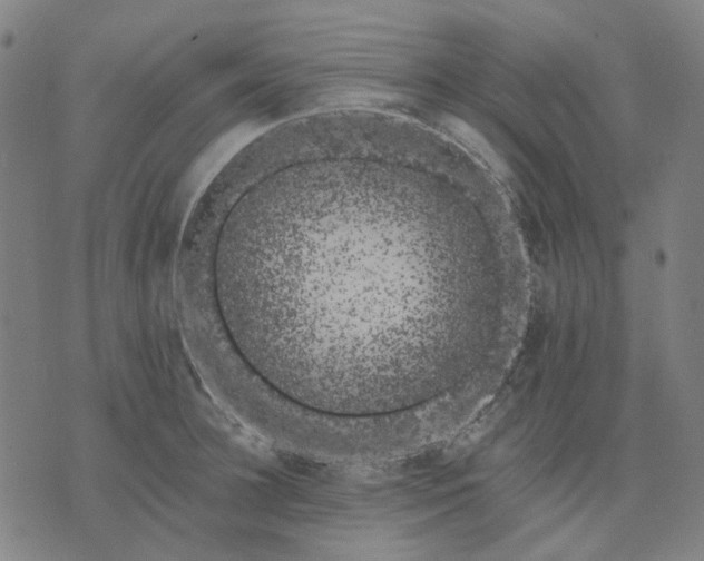 X0000074260948200609081733