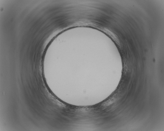 X0000074260950200609081733