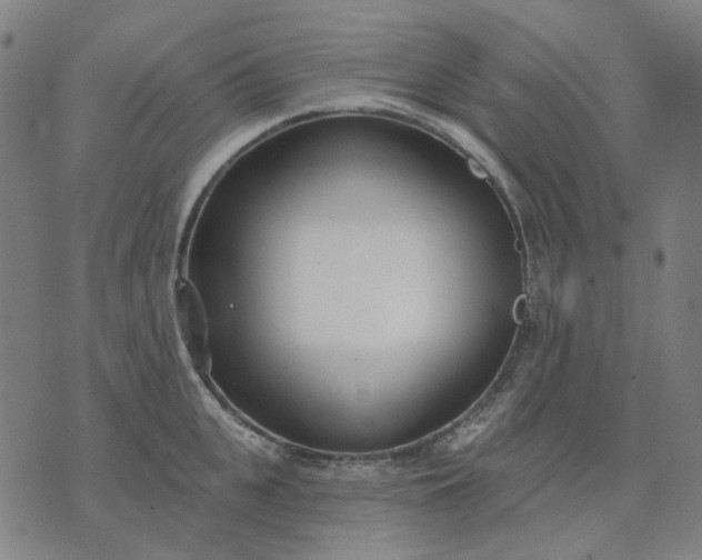 X0000074260951200609081733