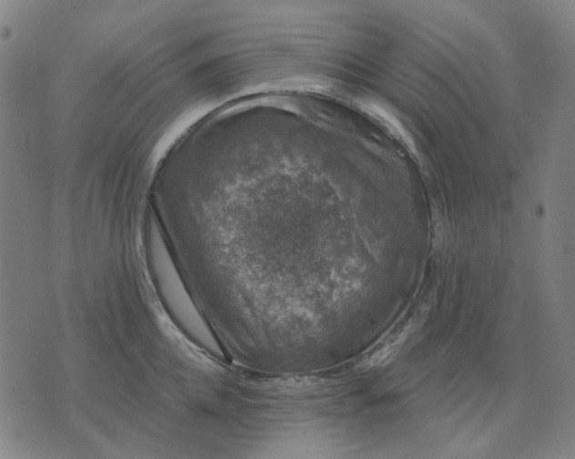 X0000074260952200609081733