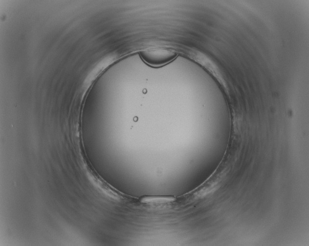 X0000074260954200609081733