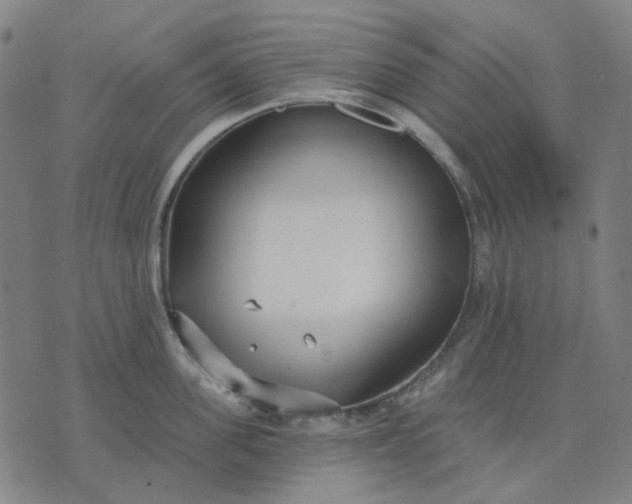 X0000074260955200609081733