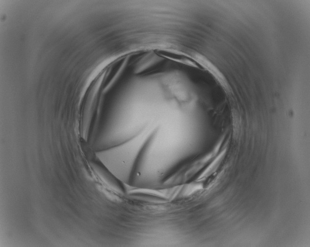 X0000074260956200609081733