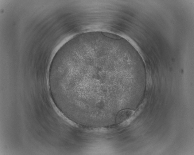 X0000074260957200609081733