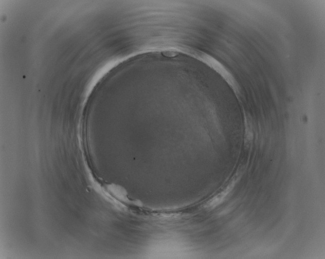 X0000074260958200609081733