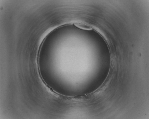 X0000074260959200609081733