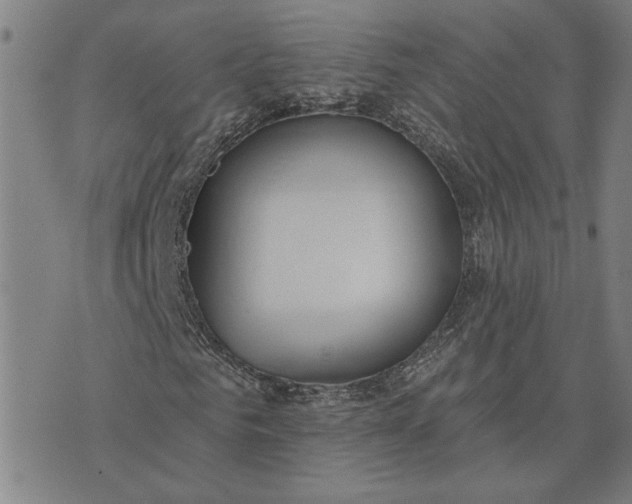 X0000074260961200609081732