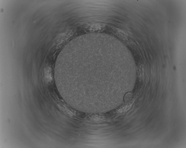 X0000074260962200609081732