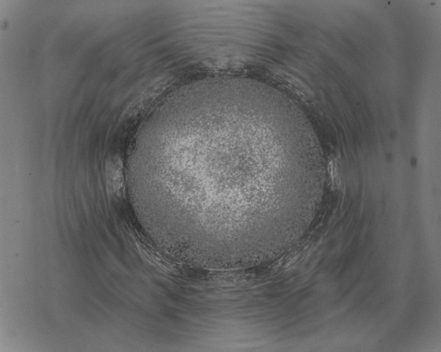 X0000074260963200609081732